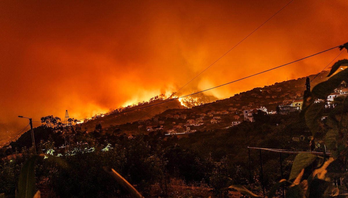 2021 risk of wildfire and how to protect your home